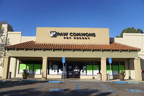 Established in 2001, Paw Commons has been serving San Diego area pets and their devoted parents for more than 20 years. . Paw commons encinitas